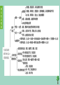 （徐州专版）2020中考生物复习方案 第六单元 生命活动的调节和生态系统的稳定 第10课时 人体内物