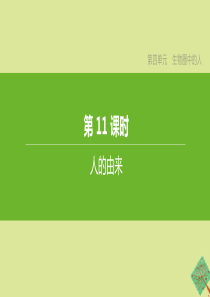 （新课标）2020中考生物复习方案 第四单元 生物圈中的人 第11课时 人的由来课件 新人教版