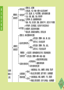 （新课标）2020中考生物复习方案 第七单元 生命的延续与进化 第16课时 植物的生殖和发育课件 苏