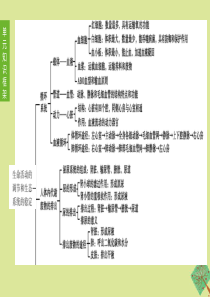 （新课标）2020中考生物复习方案 第六单元 生命活动的调节和生态系统的稳定 第10课时 人体内物质