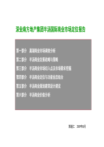 安徽巢湖深业南方地产集团半汤国际商业市场定位报告_39P