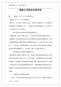 保险公司组训自我评价