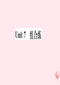 （武汉专版）2019秋七年级英语上册 Unit 7 How much are these socks