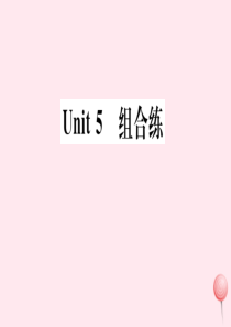 （武汉专版）2019秋七年级英语上册 Unit 5 Do you have a soccer bal