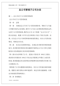 总公司管理子公司办法