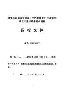 水利招标文件---贺疃农发办高标准农田建设项目