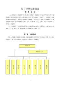 项目管理实施细则