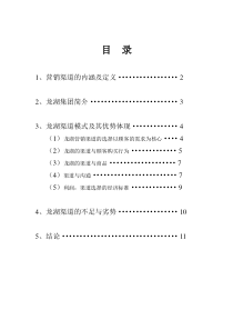 龙湖渠道拓展思路策划