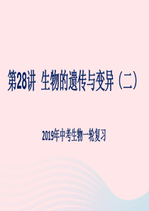 （人教通用）2019年中考生物一轮复习 第28讲 生物的遗传与变异课件2