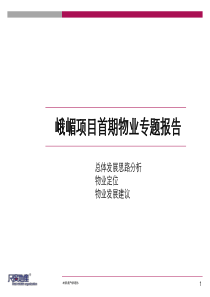 成都峨嵋项目物业发展定位报告_78页_尺度地产