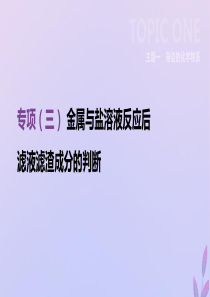 （全国版）2019版中考化学复习 主题一 身边的化学物质 专项（三）金属与盐溶液反应后滤液滤渣成分的