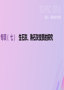 （全国版）2019版中考化学复习 主题一 身边的化学物质 专项（七）生石灰、熟石灰变质的探究课件