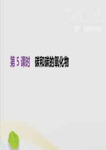 （全国版）2019版中考化学复习 第一单元 身边的化学物质 第05课时 碳和碳的氧化物课件