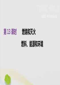 （全国版）2019版中考化学复习 第四单元 化学与社会发展 第13课时 燃烧和灭火 燃料、能源和环境