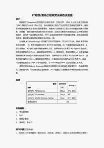 吖啶橙溴化乙锭双荧光染色试剂盒