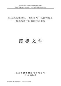 江苏苏源谏壁电厂2×30万千瓦以大代小技术改造工程调试技术服招标文件--wsy359411353