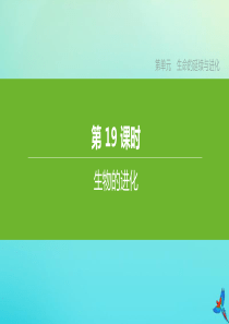 （连云港专版）2020中考生物复习方案 第七单元 生命的延续与进化 第19课时 生物的进化课件