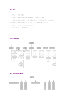 项目管理案例