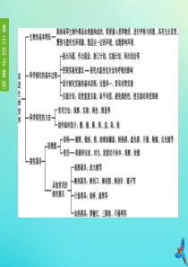 （连云港专版）2020中考生物复习方案 第1单元 走进生命世界 第01课时 生物 生物学的基本研究方