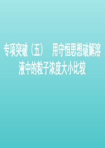 （课标通用）山东省2020版高考化学总复习 专题八 专项突破（五）用守恒思想破解溶液中的粒子浓度大小