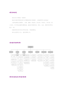 项目管理案例（DOC 7页）