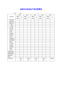 丝琪兰化妆品生产成本预算表