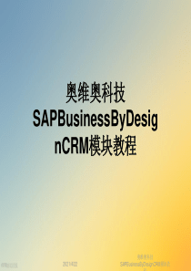 奥维奥科技SAPBusinessByDesignCRM模块教程