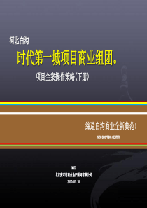 保定白沟时代第一城商业组团项目全案操作策略