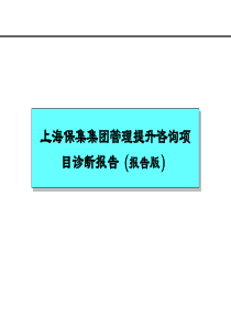 保集集团战略诊断诊断报告