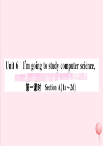 （江西专版）2019秋八年级英语上册 Unit 6 I’m going to study compu