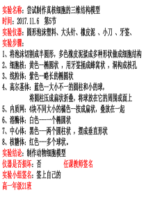 制作真核细胞的三维结构模型实验报告