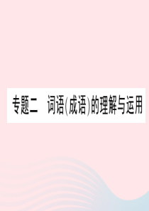 （黄冈专版）2020春八年级语文下册 期末专题复习二 词语（成语）的理解与运用习题课件 新人教版