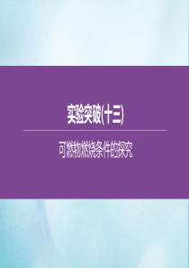 （呼和浩特专版）2020中考化学复习方案 实验突破（13）可燃物燃烧条件的探究课件