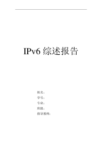 IPV6综述报告