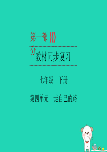 （广西专用）2019中考道德与法治一轮新优化复习 七下 第4单元 走自己的路课件