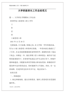 大学班级班长工作总结范文