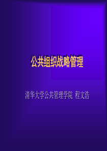 公共组织战略管理