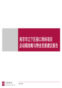 世联地产南京市江宁区禄口地块项目启动期战略与物业发展建议报告(118页)