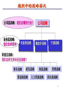 公司层战略