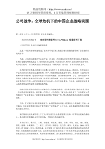 公司战争：全球危机下的中国企业战略突围（DOC69页）