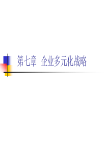 公司战略 多元化战略