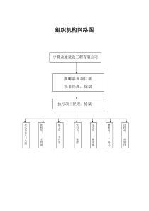 项目组织机构网络图