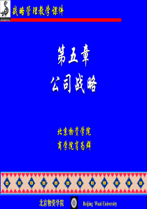 公司战略(黑)