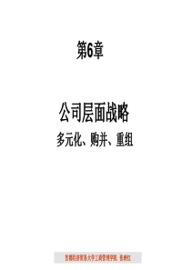 公司战略s（新）