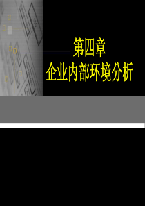 公司战略内部分析