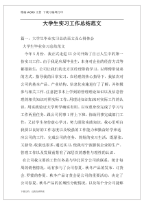 大学生实习工作总结范文