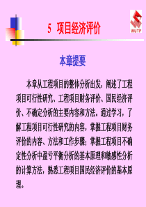 项目经济评价