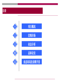 世联重庆某大型旅游地产项目策划报告（PPT175页）