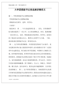 大学团委副书记竞选演讲稿范文