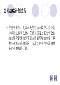 公司战略计划过程(1)